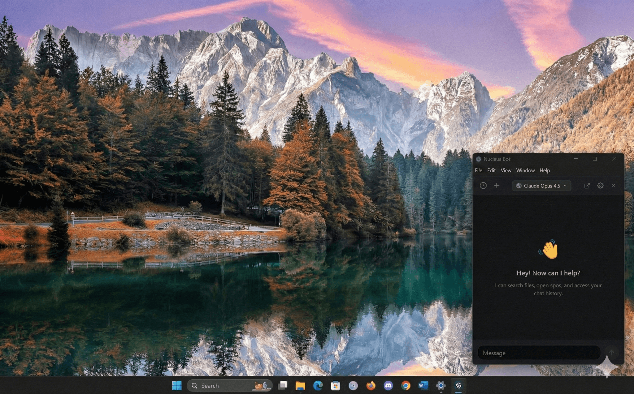 Nucleus Bot running on Windows desktop